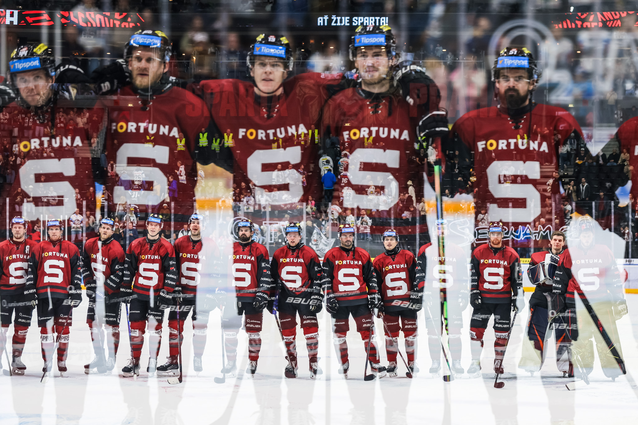 HC Sparta Praha – HC Bílí Tygři Liberec